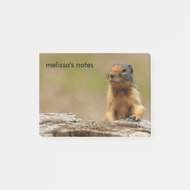 Bloco Post-it Engraçada Saucy Columbian Ground Squirrel (Frente)