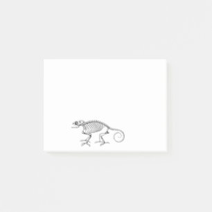 Bloco Post-it Esqueleto de lagarto Vintage