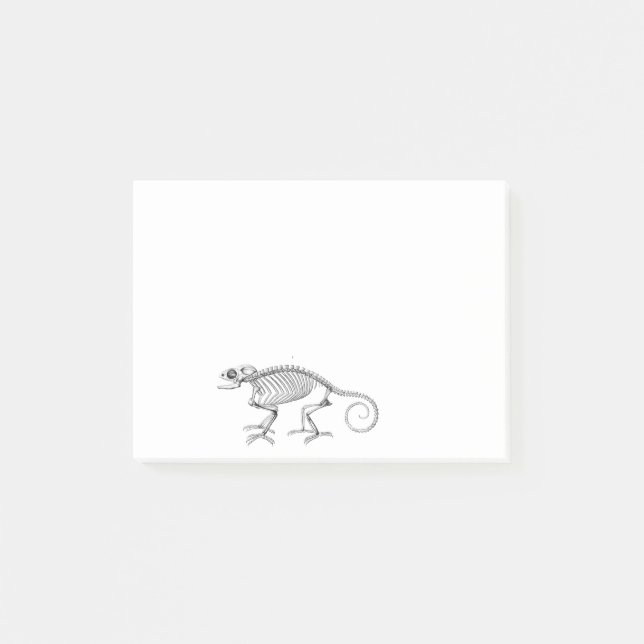 Bloco Post-it Esqueleto de lagarto Vintage (Frente)