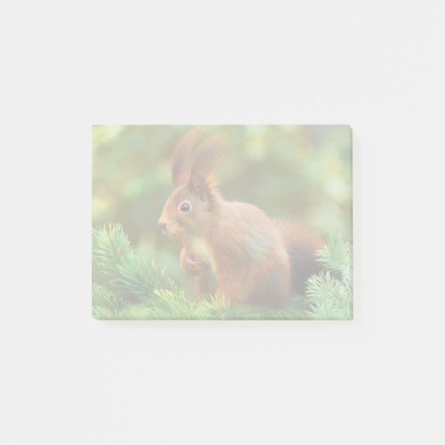 Bloco Post-it Esquilo numa árvore (Frente)