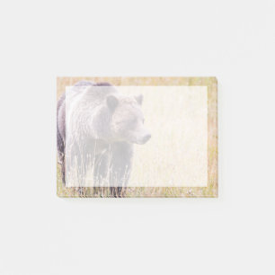 Bloco Post-it EUA, Wyoming, Parque Nacional de Yellowstone, Urso