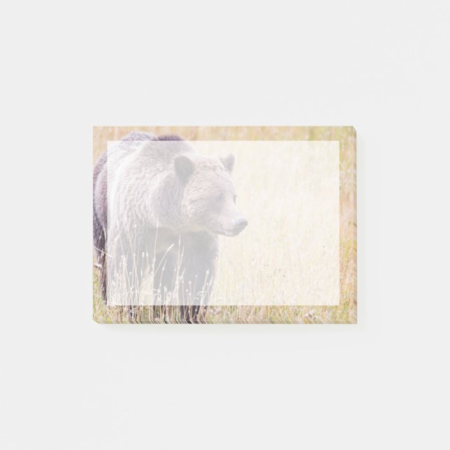 Bloco Post-it EUA, Wyoming, Parque Nacional de Yellowstone, Urso (Frente)