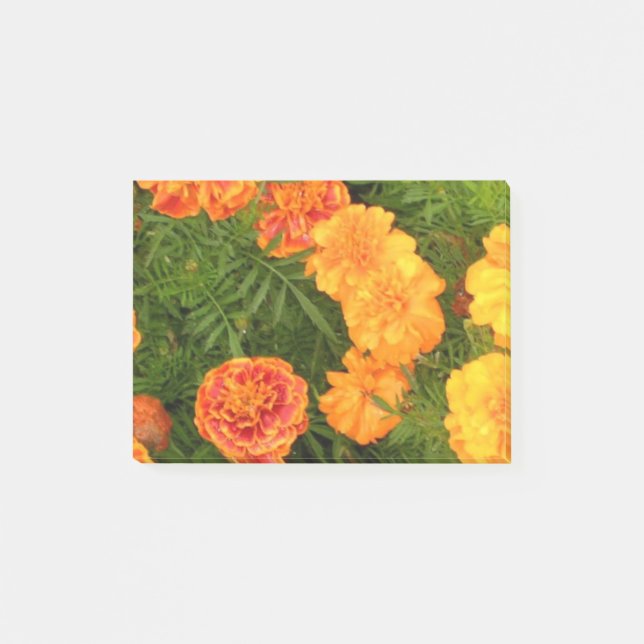Bloco Post-it Flores do cravo-de-defunto (Frente)