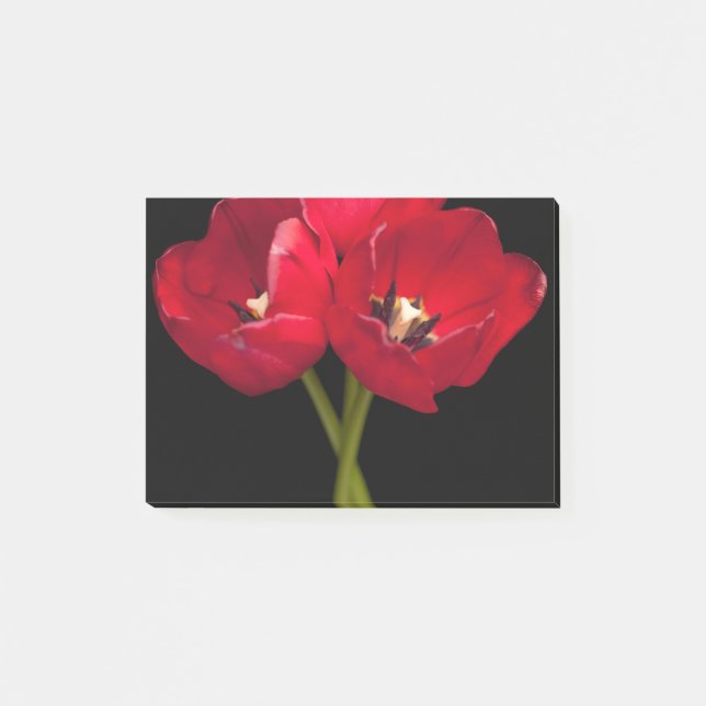 Bloco Post-it Flores Vermelhas Tulipas Flores Pretas Fundo Flor (Frente)