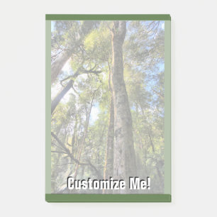 Bloco Post-it Floresta Tropical Australiana Eucalyptus Gum Trees