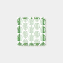 Folhas de Monstera da aguarela