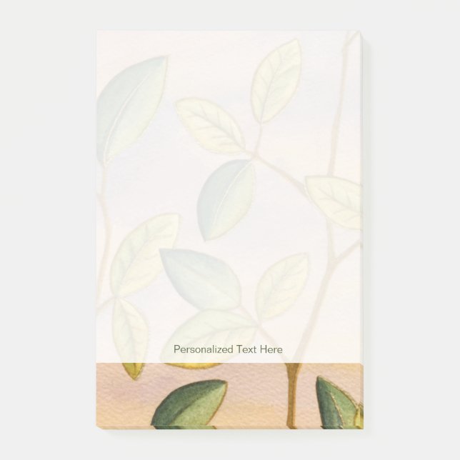 Bloco Post-it Folhas verdes e amarelas no fundo do sol (Frente)