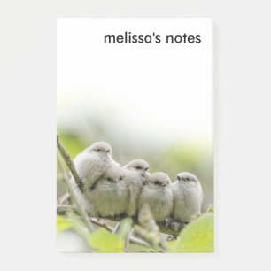 Bloco Post-it Foto da Família Songbird, Cute Bushtits