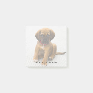 Bloco Post-it Foto do Lover do Cão Personalizado Cãozinho Bonito