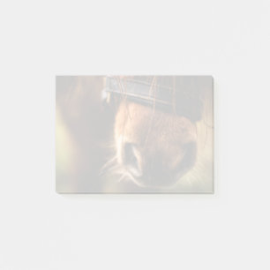 Bloco Post-it Foto do Nariz do Cavalo Castanho, Cute e Russo