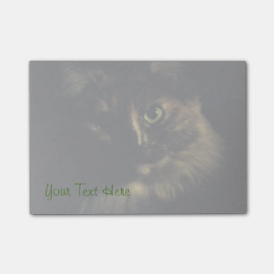 Bloco Post-it Fotografia de Arte de Gata Sombra Olhos Verdes Kit