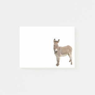 Bloco Post-it Fotografia de burro de burro de burro de burro de