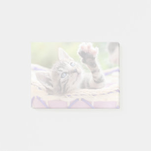 Bloco Post-it Gatinho em uma cesta