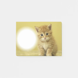 Bloco Post-it Gatinho Paw-It