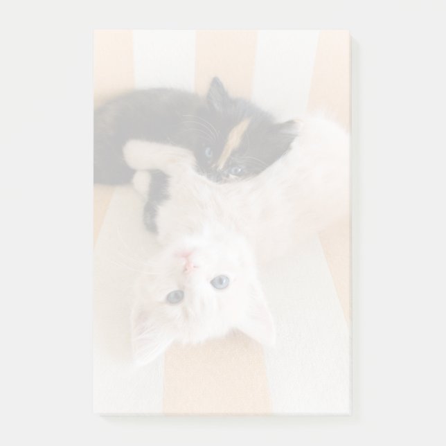 Bloco Post-it Gatinhos brancos e pretos (Frente)