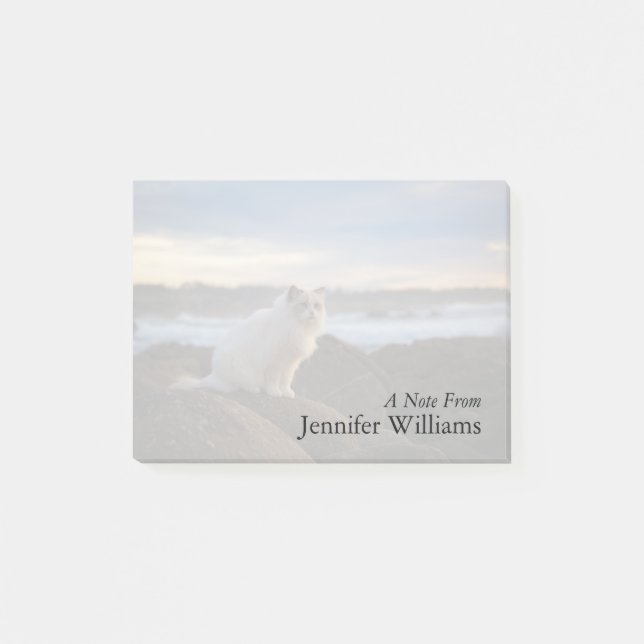 Bloco Post-it Gato de Ragdoll na praia (Frente)