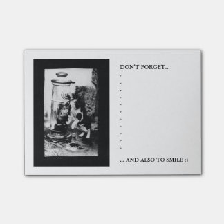 Bloco Post-it Gato que refresca na fonte