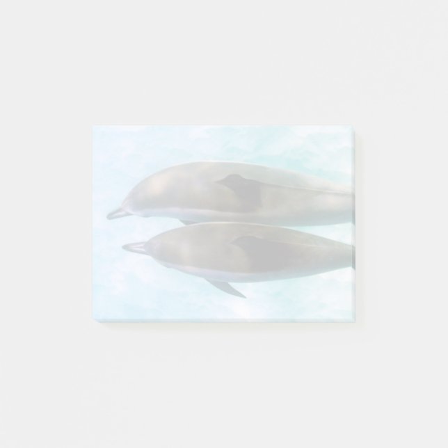 Bloco Post-it Golfinhos Spinner| Oahu Havaí (Frente)