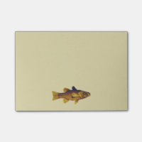 Ilustração de Peixes de Água fresca Vintage