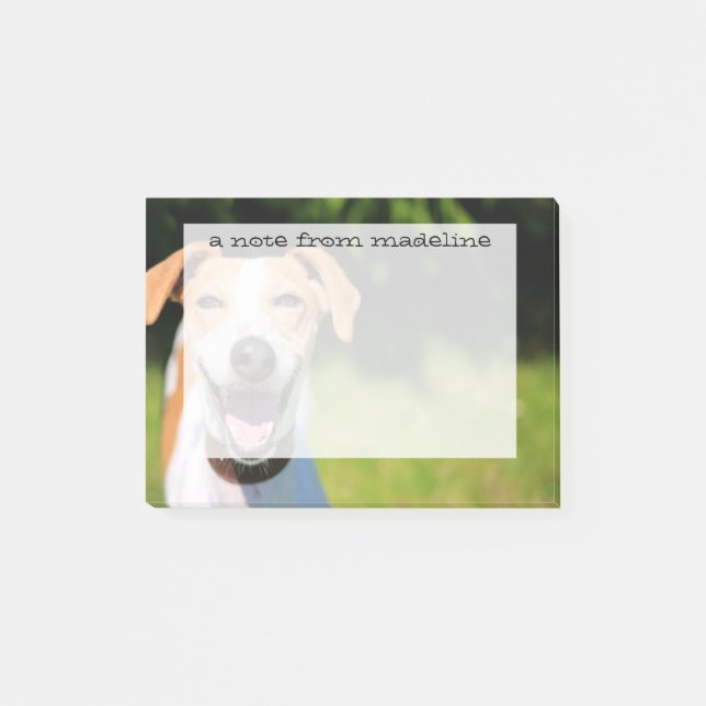 Bloco Post-it Imagens de Getty| Cão Rindo (Frente)