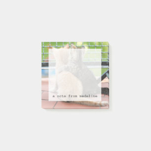 Bloco Post-it Imagens de Getty Dois gatinhos numa sacada