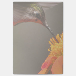 Bloco Post-it Jardim Floral de Flor de Girassol