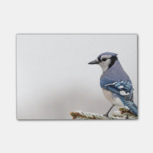 Bloco Post-it Jay azul no inverno