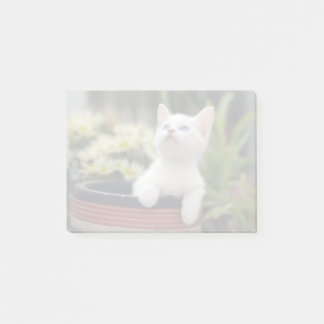 Bloco Post-it Kitten Branco Turco