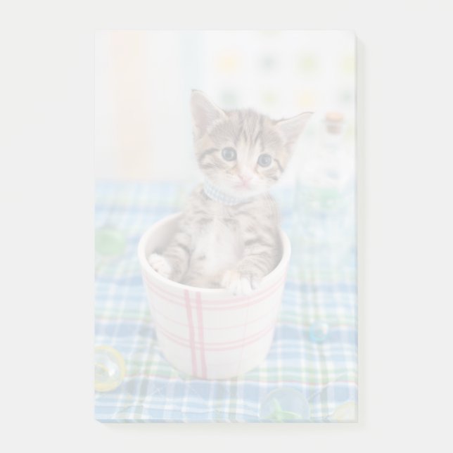 Bloco Post-it Kitten Munchkin Com Faixa Bonito (Frente)