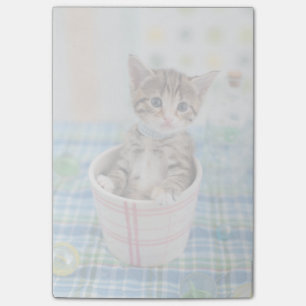 Bloco Post-it Kitten Munchkin Com Faixa Bonito
