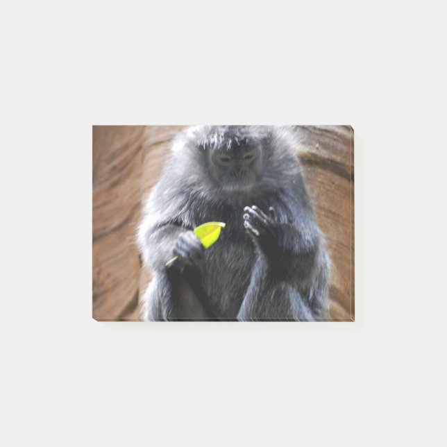 Bloco Post-it Langur do ébano (Frente)