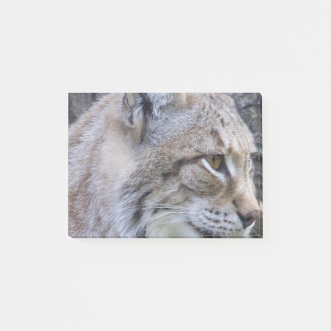 Bloco Post-it Lince (Frente)