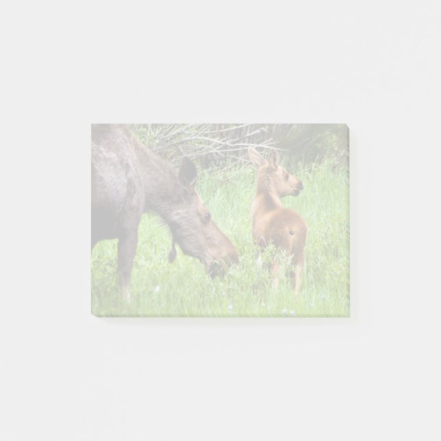 Bloco Post-it Mãe alerta e bebê de dois alces (Frente)
