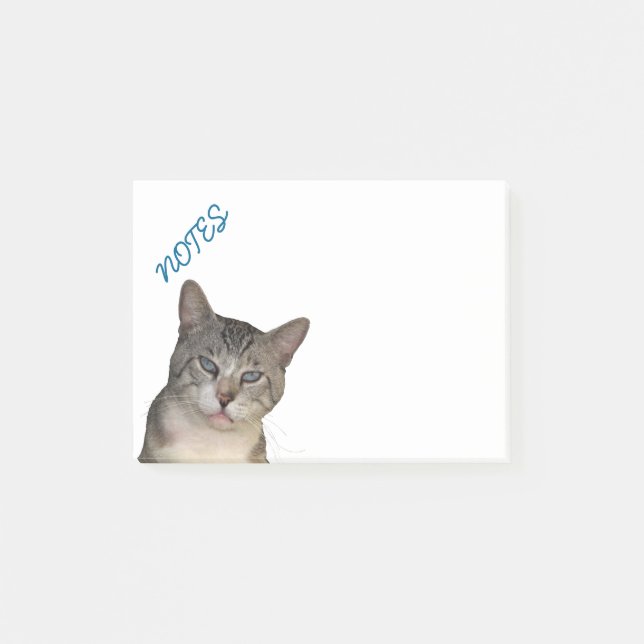 Bloco Post-it Meece Gatinho Com Olhos Azuis (Frente)