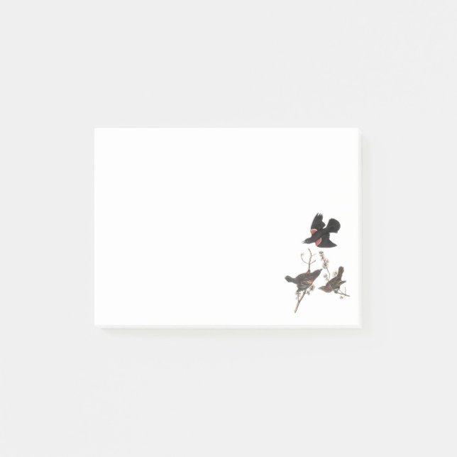 Bloco Post-it melro Vermelho-voado por Audubon (Frente)