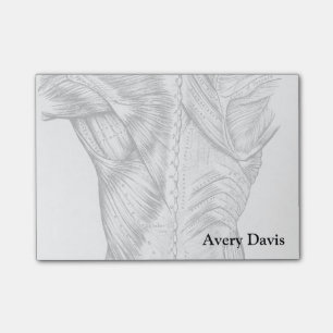 Bloco Post-it Músculos dorsais de anatomia branca e negra (1890)