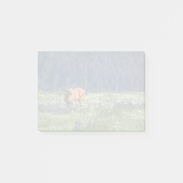 Bloco Post-it No campo (Frente)