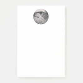 Bloco Post-it nota de post-it do lebreiro