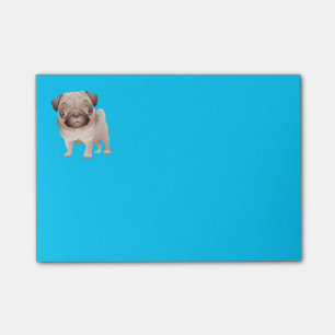 Bloco Post-it Notas Azuis Gráficas de Cartonagem de Cão de Pug