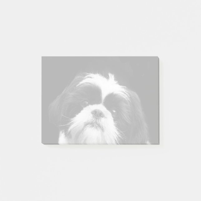 Bloco Post-it Notas de post-it do cão de Shih Tzu (Frente)