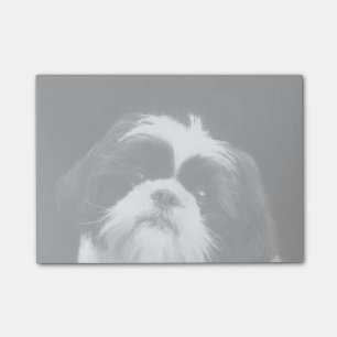 Bloco Post-it Notas de post-it do cão de Shih Tzu