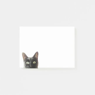 Bloco Post-it Notas de post-it do gato