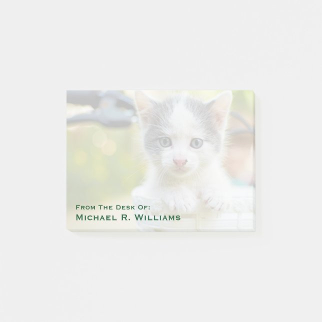 Bloco Post-it O gatinho monta uma bicicleta (Frente)