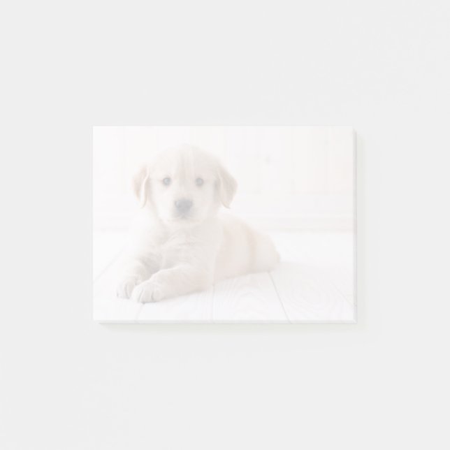 Bloco Post-it Ouro Retriever Deitado (Frente)
