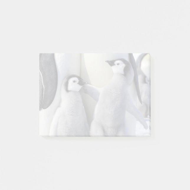 Bloco Post-it Pintinho Pinguim Imperador (Frente)