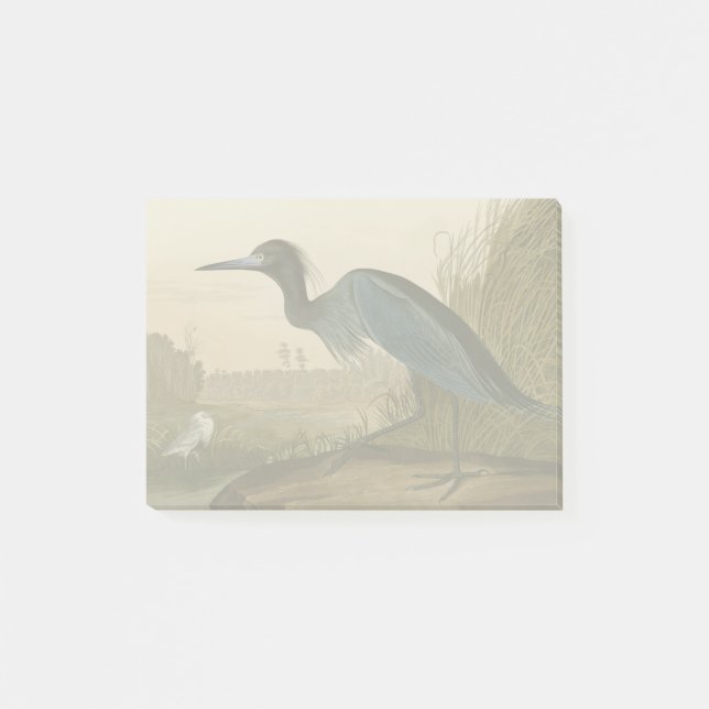 Bloco Post-it Pintura de Heron Audubon com Crane Azul (Frente)
