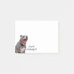 Bloco Post-it Pitbull Morning Yawn Não esqueça as notas