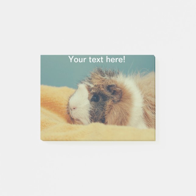 Bloco Post-it porco (Frente)