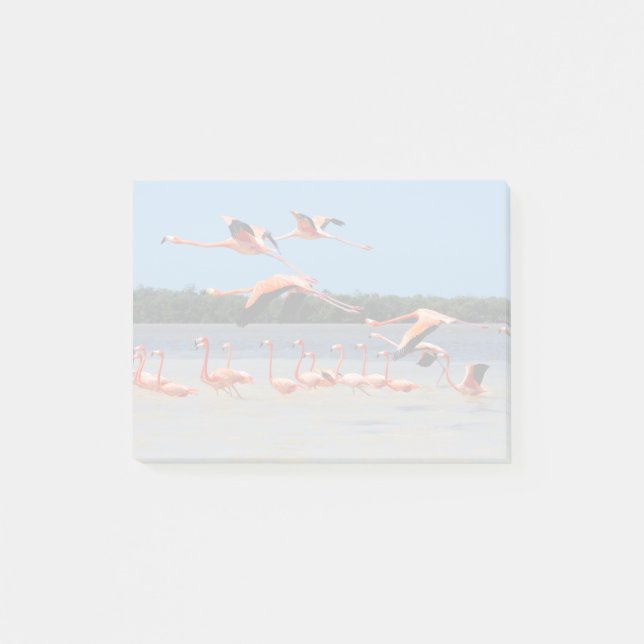 Bloco Post-it Reserva da Biosfera Celestun (Frente)