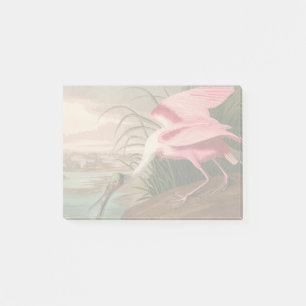 Bloco Post-it Roseate Spoonbill Audubon Bird Willife